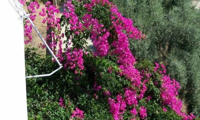 Perigiali House | Gianna Studios