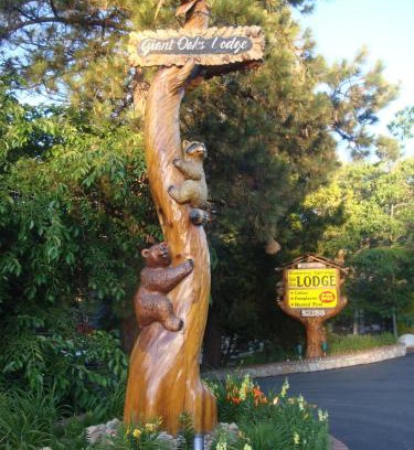 Running Springs Cabin | Giant Oaks Lodge