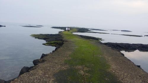 Gujwa House | Gimnyeong Home