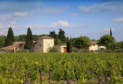 Caromb House | Gite des amis Domaine de Mas Caron