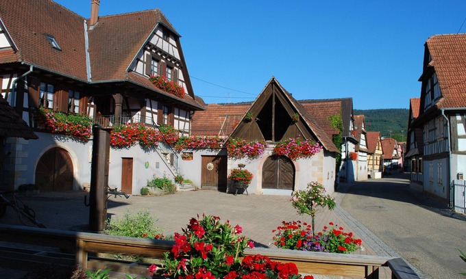 Cleebourg House | Gite du Vignoble- 6