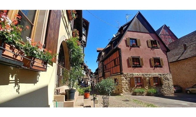 Eguisheim Apartment | Gite Le Bretzel in the heart of the historic center