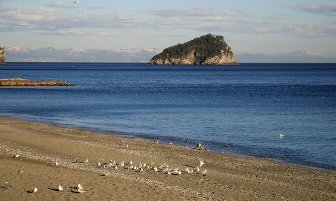 Torre del Mare Apartment | Golfo dell'Isola - Appartamento fronte mare