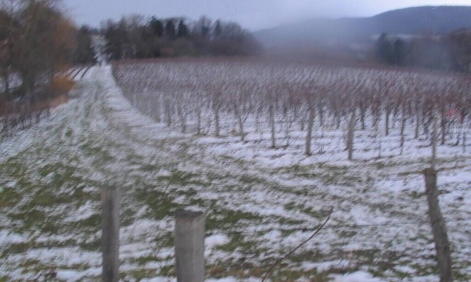 Chille House | Grand Gîte Maison en Pierre de Taille, Bucolique & Ouverte sur Domaine Viticole