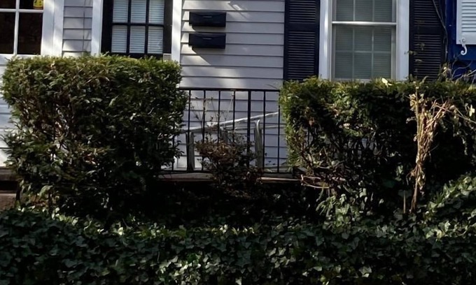 Historic District Apartment | Great Location! Walk to Downtown Annapolis, w/ full kitchen washer/dryer...