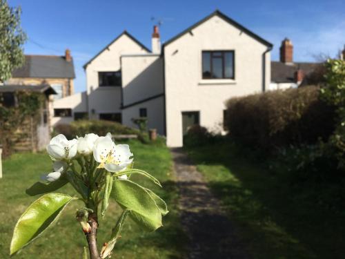 Watchet House | Greengates
