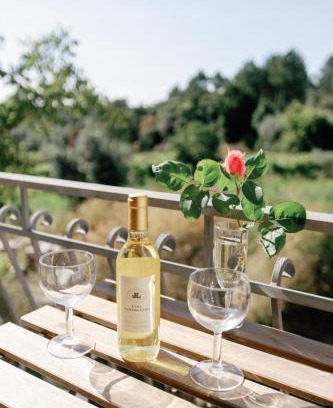 Figueiro dos Vinhos House | Guesthouse Travessa da Arieira