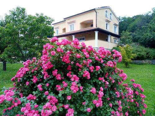 Brsec House | Guesthouse Villa AnnaDora