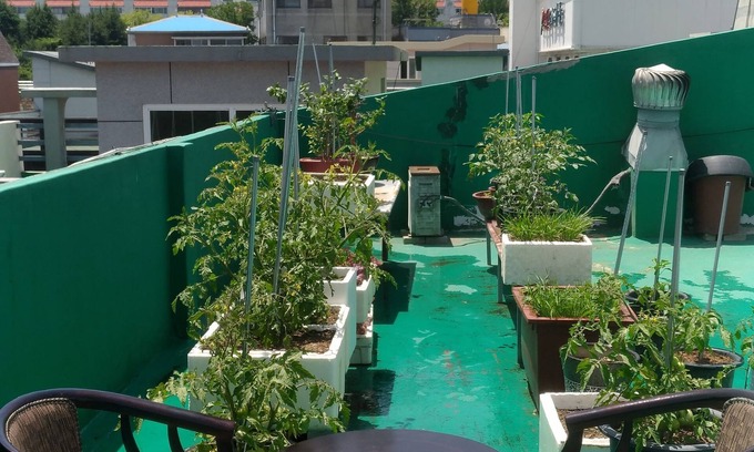 Gumi Hotel | Gumi A Motel