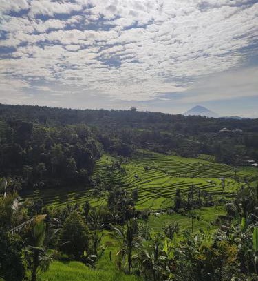 Penebel House | Gunza Bed and Breakfast