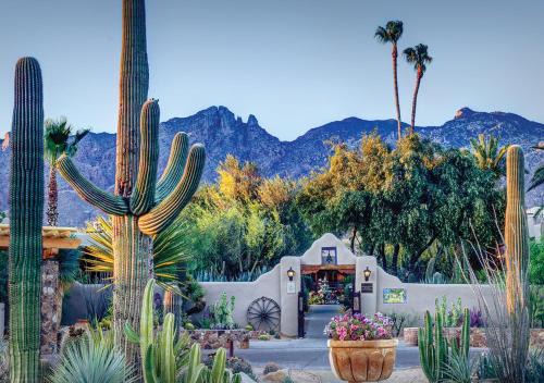 Tucson Resort | Hacienda del Sol Guest Ranch Resort