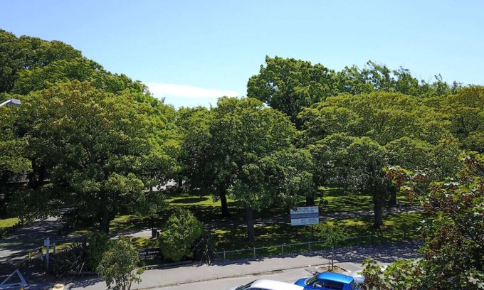 Christchurch City Centre Apartment | Hagley Park Views and 5 Min Walk to Hospital