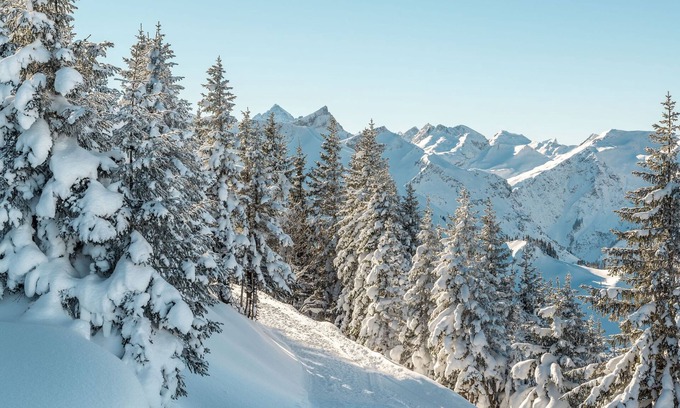 Graen Apartment | Hahnenkamm - country house Stocka