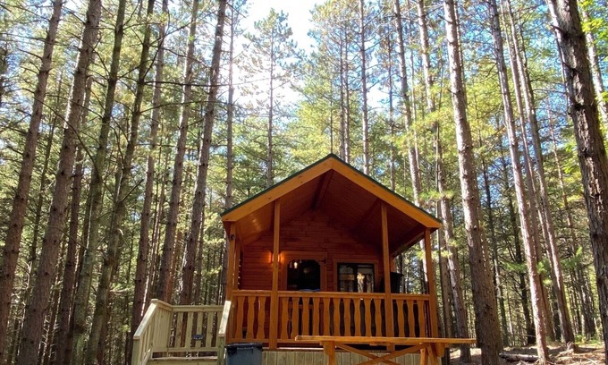 Leeper Cabin | Happy Bear Log Cabin near Cook Forest State Park