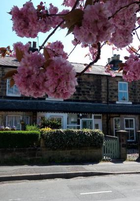 Harrogate House | Harrogate 100