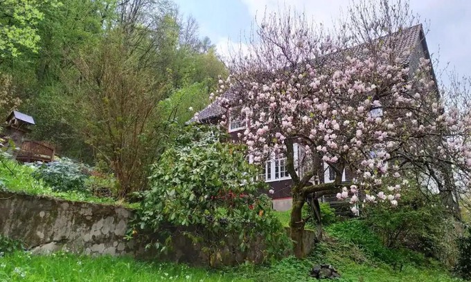 Walkenried House | Haus am Wald Zorge 16+ Gäste