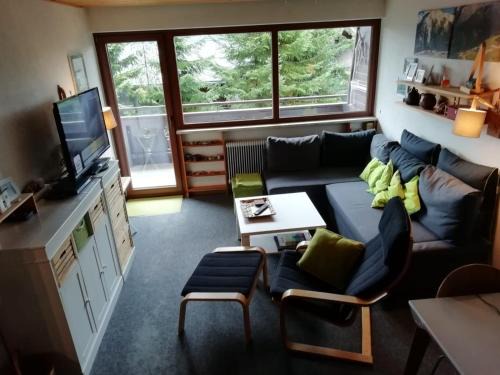 Hochkrimml Apartment | Haus Elisabeth Top 105