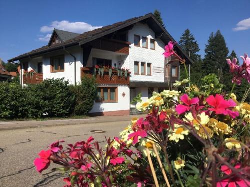 Kniebis Apartment | Haus Seiler
