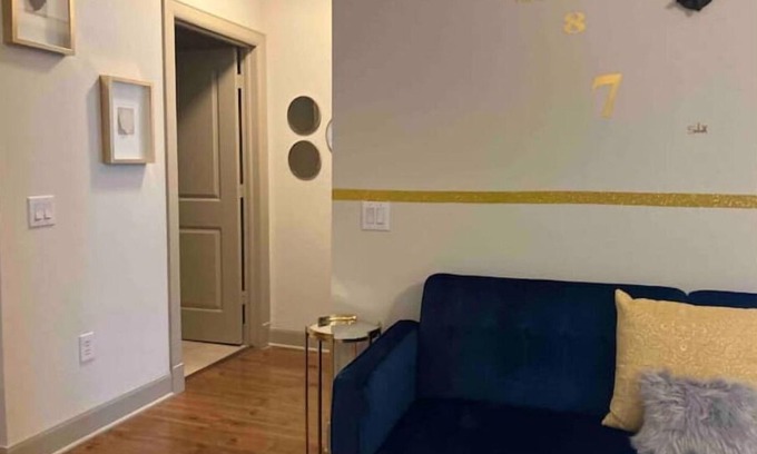 Astrodome Apartment | Heart of NRG and Medical Center