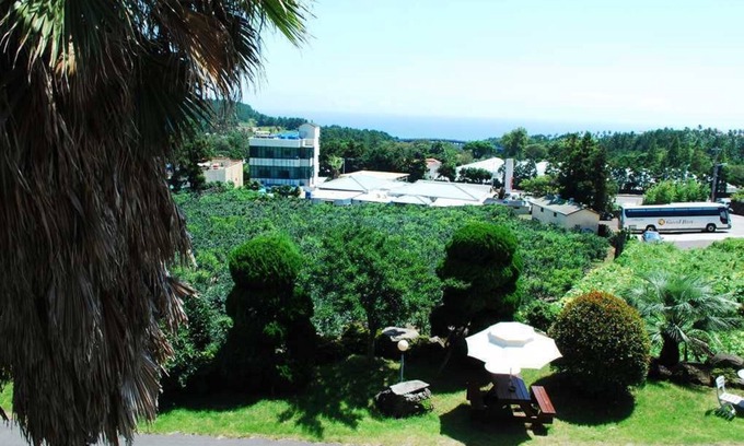 Jungmun Hotel | Hera's Castle