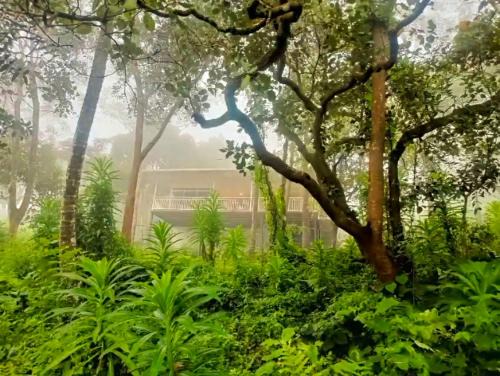 Vellamunda Villa | Hermitage