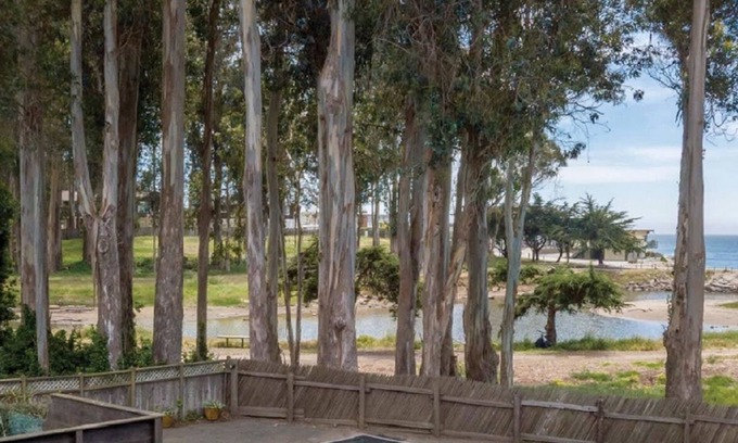 Opal Cliffs House | Heron House- Fantastic, Private Beach House!