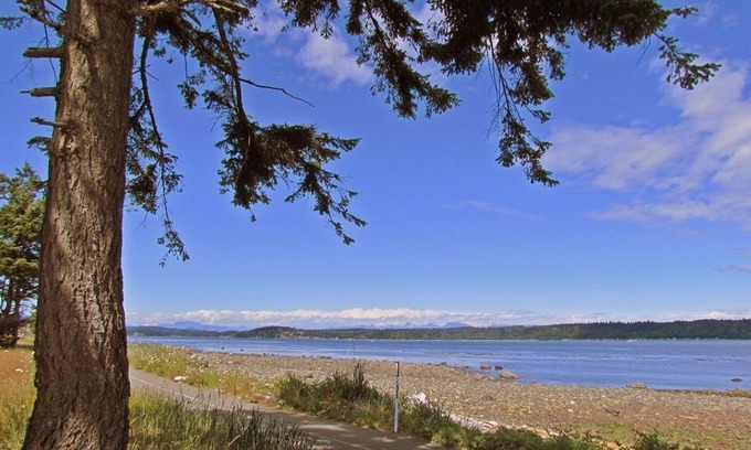 Campbell River Hotel | Heron's Landing Hotel