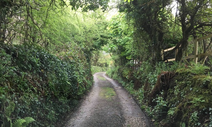 Mabe House | Higher Trenear Farm