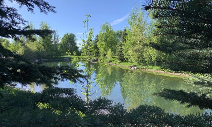 Victor House | Hiking, Fishing, Biking, Skiing all within the valley 30 min from Jackson Hole
