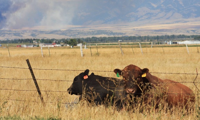 Manhattan Other | Historic ranch house has beautiful mountain and valley views. Weekly discounts.