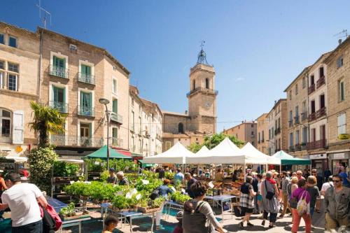 Pezenas Apartment | Historical center of Pézenas
