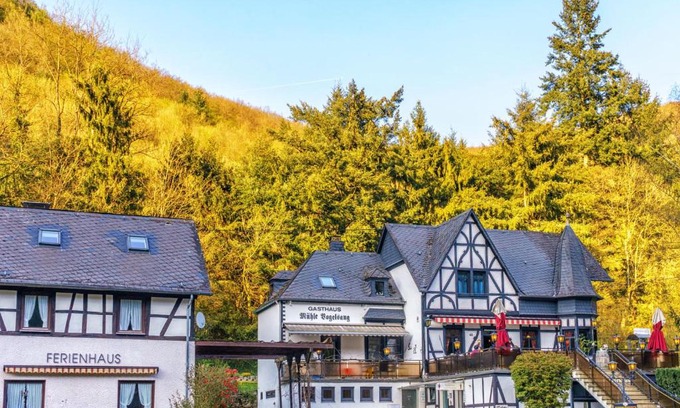Brodenbach Apartment | Historische Mühle Vogelsang
