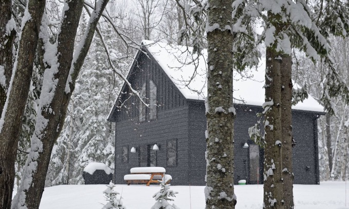 Herbster Cabin | Hodag House | Magical Cabin & Creature Comforts