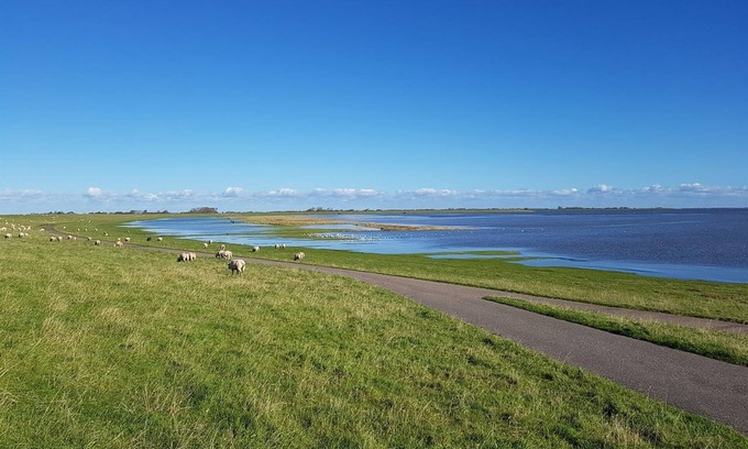 Garding Apartment | Holiday apartment Friesenkieker
