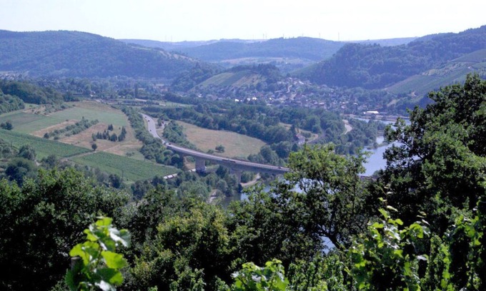 Ockfen Apartment | Holiday apartment Magnolia