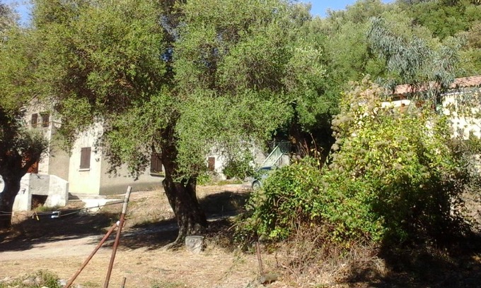 Patrimonio Apartment | Holiday apartment Patrimonio for 1 - 4 persons - Twin house