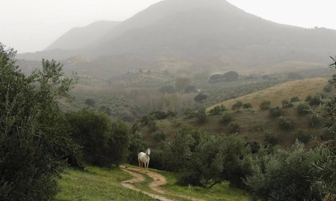 Villanueva de San Juan House | Holiday Home in Villanueva near El Terril Peak