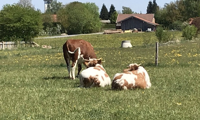 Munchen District House | Holiday home