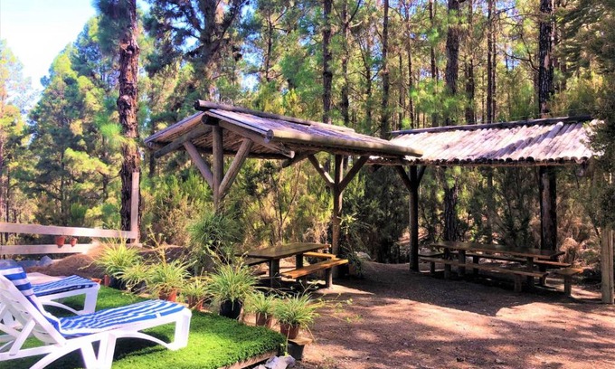 Icod de los Vinos House | Holiday Home Sendero floral