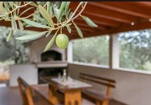 Mirce House | HOLIDAY HOUSE Ose