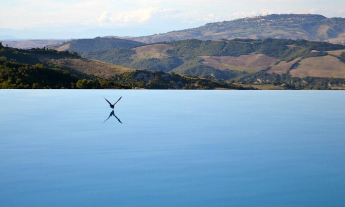 Pomarance Apartment | Holiday, where Tuscany is still authentic. 16th c. Villa, Infinity Pool: Ginepro