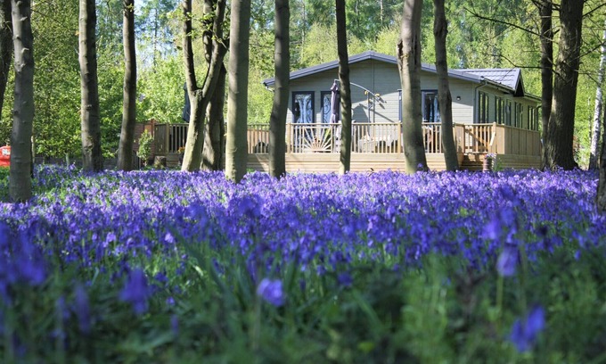 Acomb Cabin | Hollicarrs - Woodland Lodge