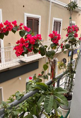 Sant'Agata di Militello Apartment | Home Sicilia