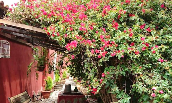 La Sabinita House | Homerez - House 12 km away from the beach for 4 ppl. with garden at La Sabinita