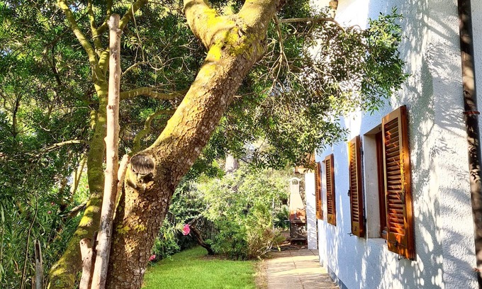 Lacona House | Homerez - House in Lacona with Garden