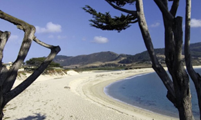 Northeast Carmel House | Honeybee - Carmel Home - What's the Buzz?