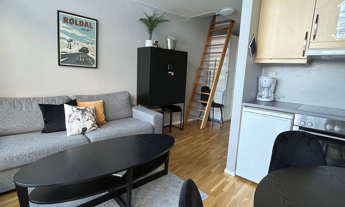 Roldal Apartment | Hordatun Hotel