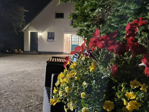 Ringe Apartment | Horsea