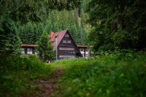 Zuberec Hotel | Horská chata Primula - 1000 m nad morom