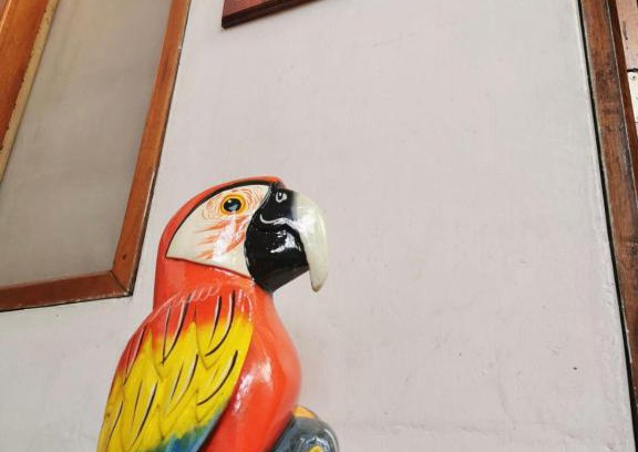 Iquitos House | Hospedaje Casa Amazónica Iquitos